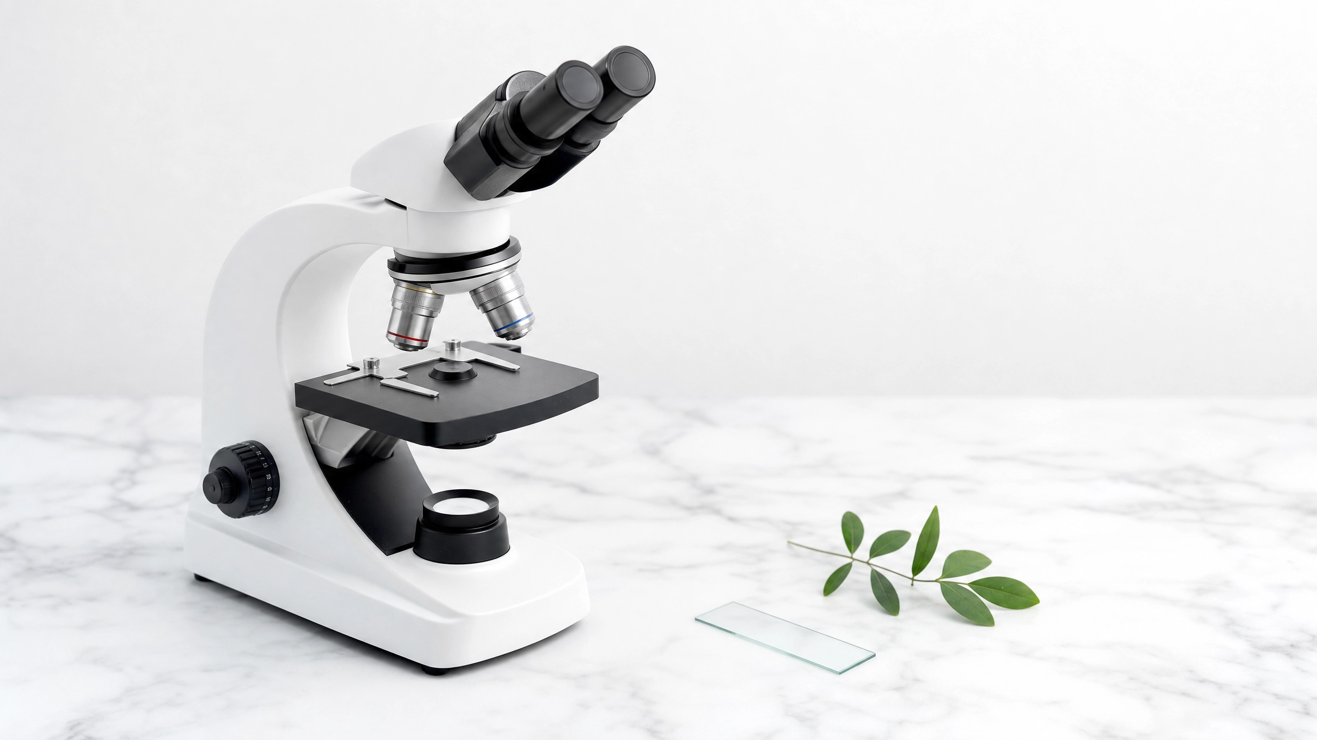 11 microscope science
